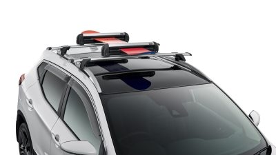 Ski/Snowboard carrier