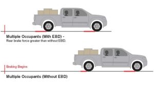 EBD Illustration