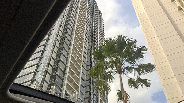 Panorama Roof