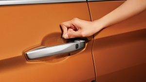 sticker protector