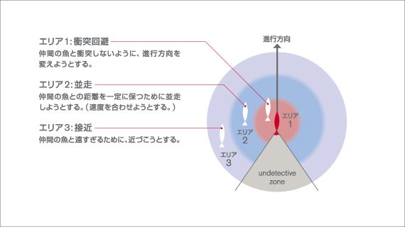 3つの魚群走行のルール