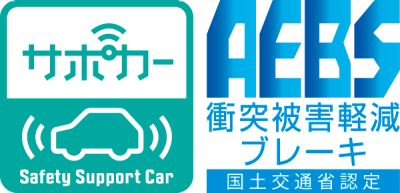 safety support car