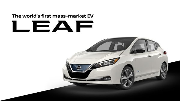 Leaf Spotlight