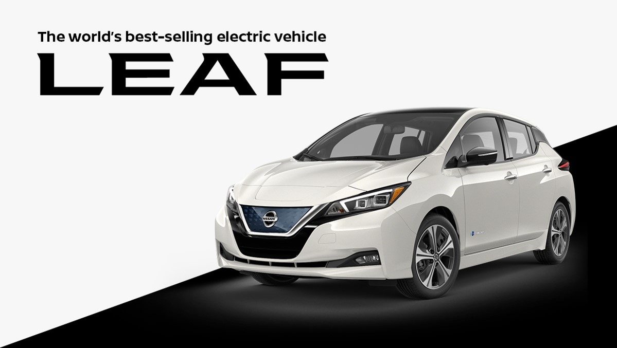 Leaf Spotlight