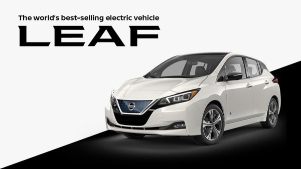 Leaf Spotlight