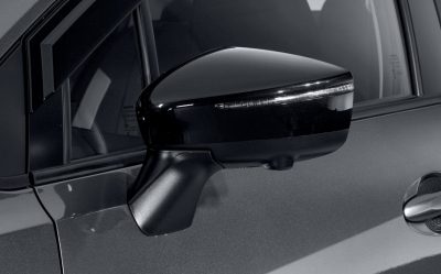 Door Mirror Cover*