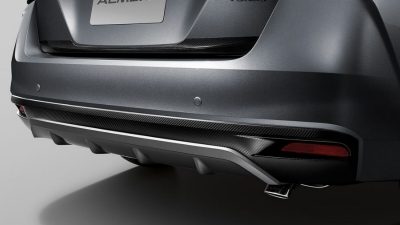 Back Sensor 2 Points