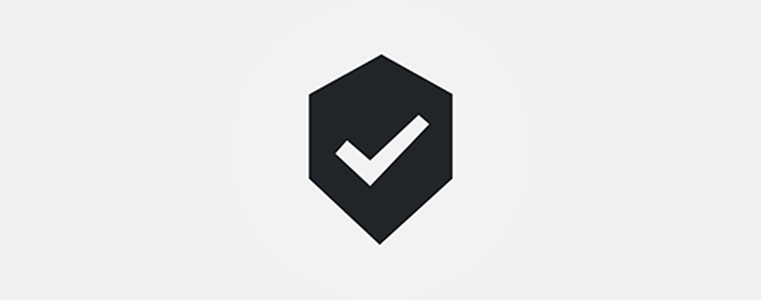 Safety First Icon