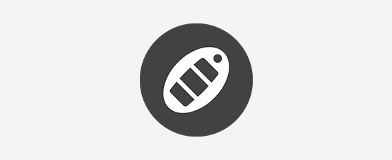 icon intelligent key