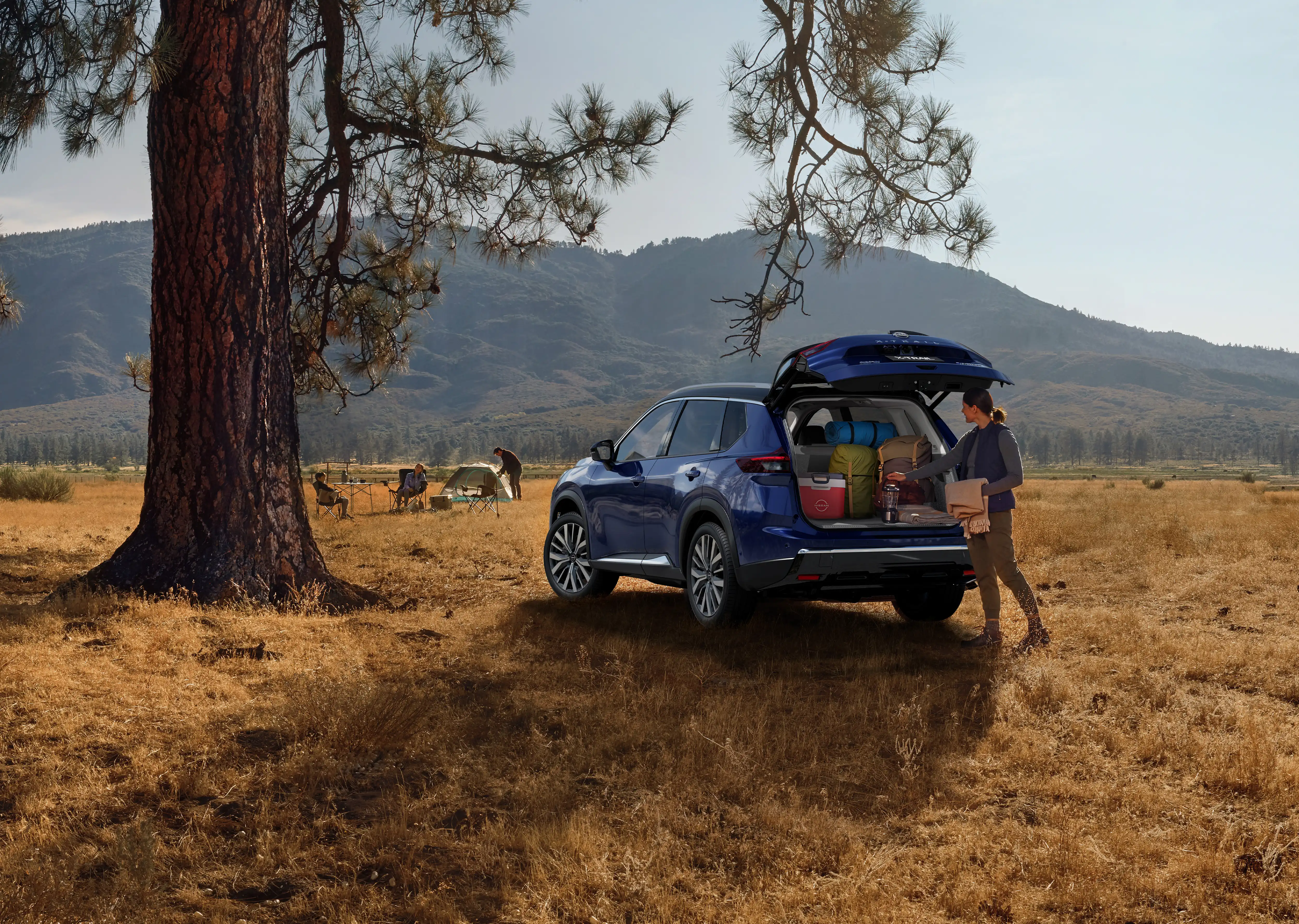 Nissan X-TRAIL Accessories