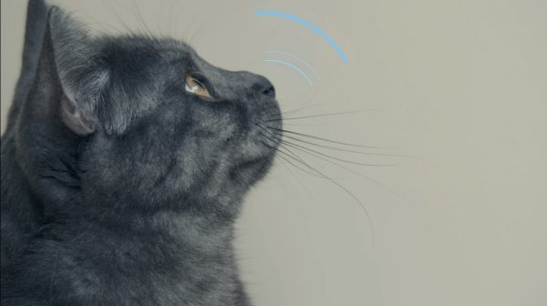 環顧八方 – 環視顯像系統  Intelligent Around View Monitor (IAVM) 連動態探測系統 Moving Object Detection (MOD)