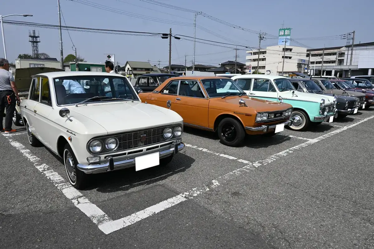 ズラリと並んだダットサンの雄姿