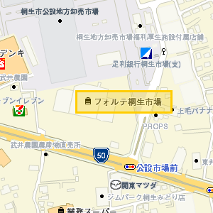 フォルテ桐生市場