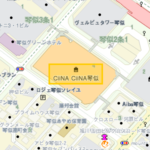 CiiNA CiiNA琴似