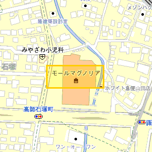 モールマグノリア