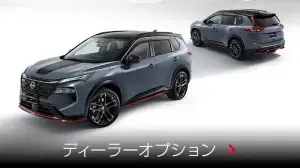 ディーラーオプション