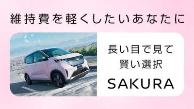 維持費を軽くしたいあなたに