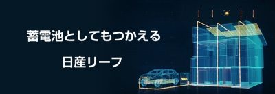 「リーフ　何日間」の答えはこちら。