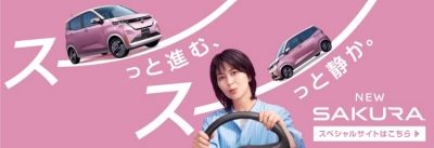 スペシャルサイトはこちら