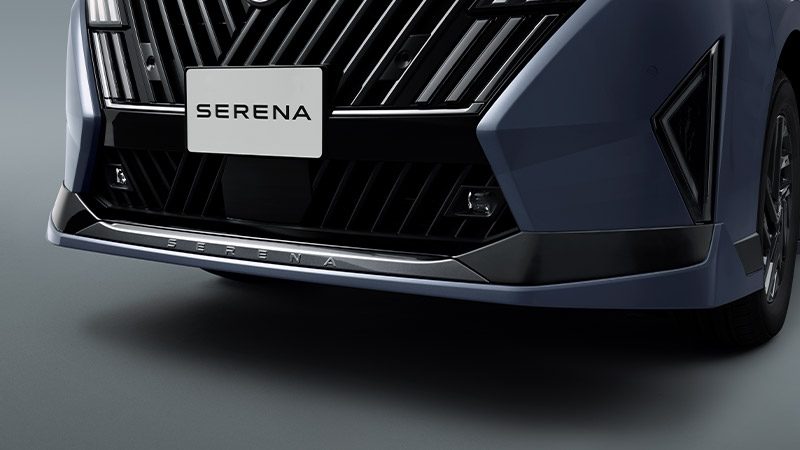 フロントプロテクター