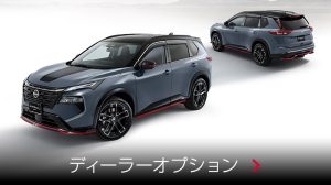 ディーラーオプション