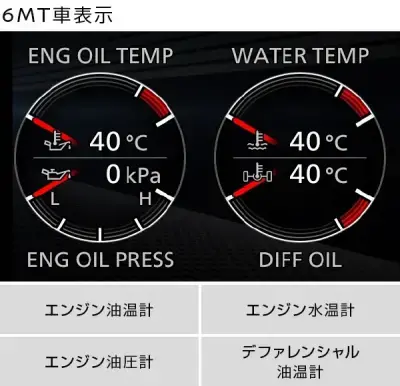 6MT車表示