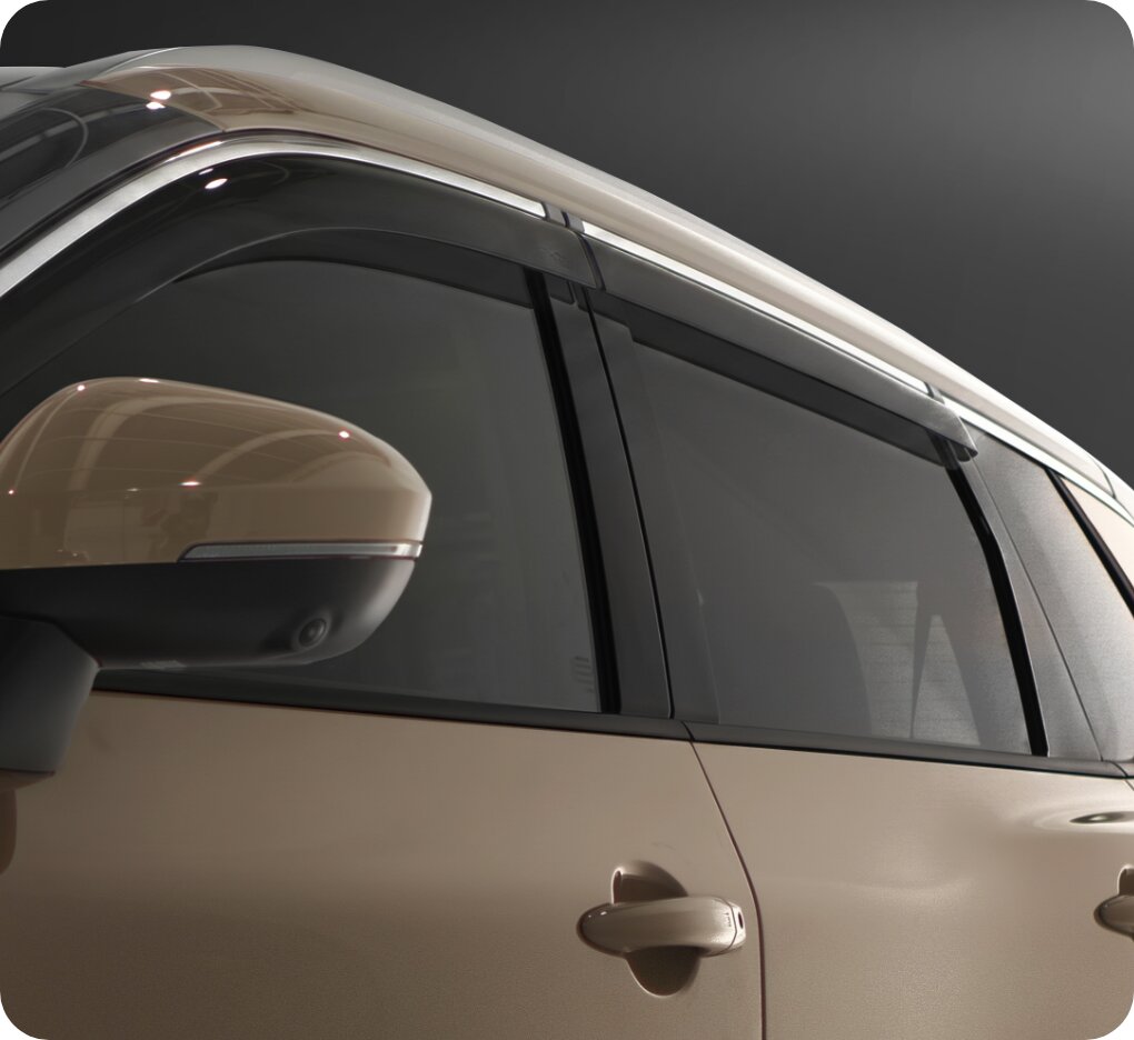 Window visor