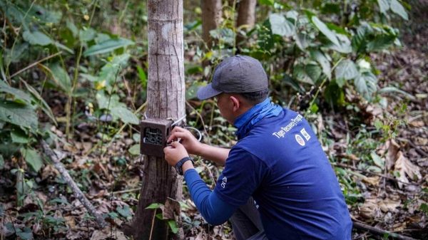 นิสสัน WWF ทน พร้อม ลุย