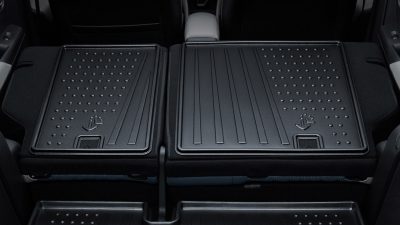 Seat Back Luggage Tray