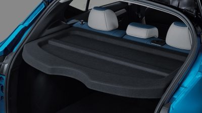 แผงหลัง