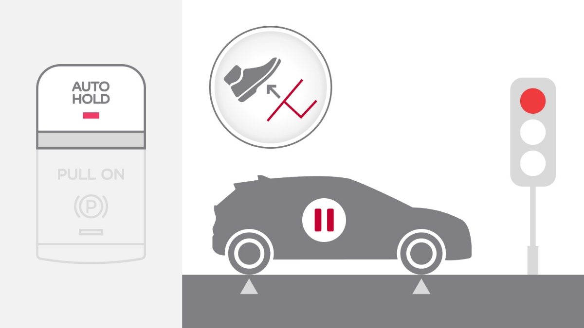 Pretensioner and Load Limiter Seat Belts