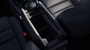 BUTTERFLY OPENING CENTRAL CONSOLE