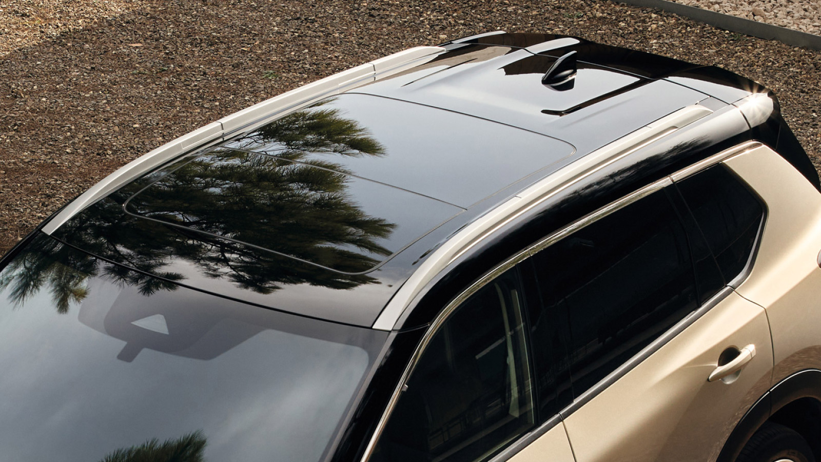 สมรรถนะการขับขี่