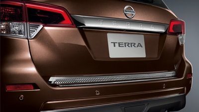 Chrome Rear Door Trim